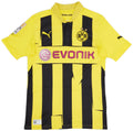 Borussia Dortmund 2012/13 UCL Home